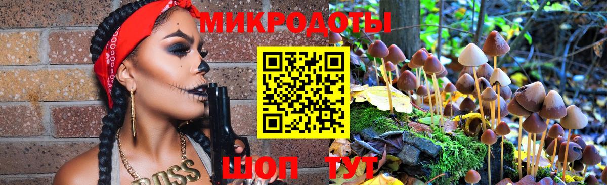 Галлюциногенные грибы Magic Shrooms Клин