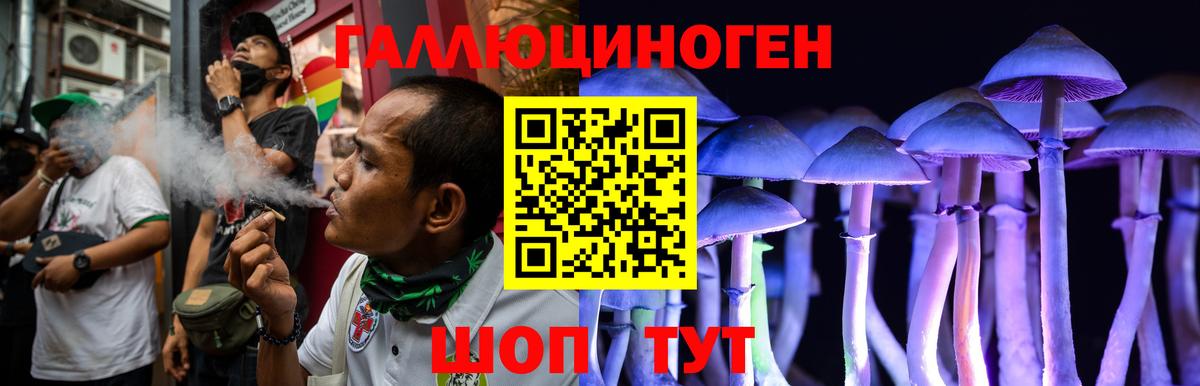 Псилоцибиновые грибы Psilocybe  Галлюциногенные грибы GOLDEN TEACHER  Клин  Вход с VPN 